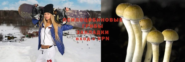 стаф Горно-Алтайск