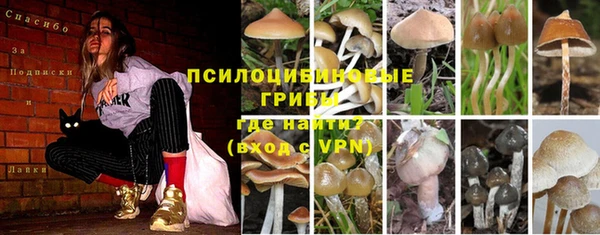 дмт Горнозаводск