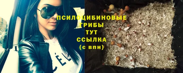 дмт Горнозаводск