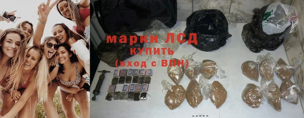 СК Горняк