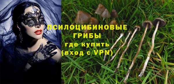 СК Горняк
