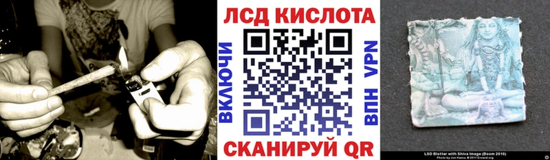 где найти наркотики  Питкяранта  Наркотические марки 1,8мг 