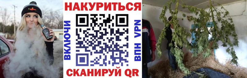 Бошки Шишки THC 21% mega как зайти Питкяранта